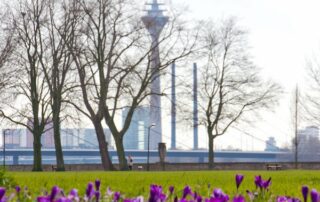 erleben sie den Escort Düsseldorf im Frühling