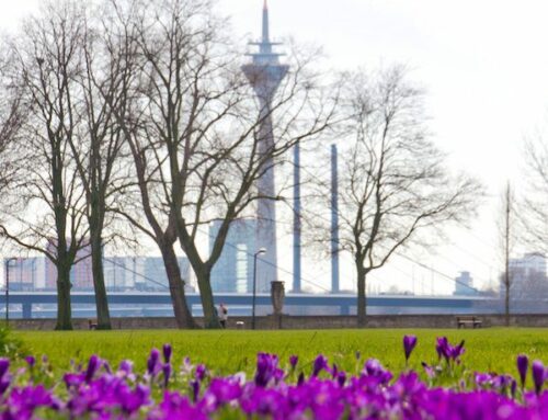 Erleben Sie den Frühling in Begleitung einer bezaubernden Lady