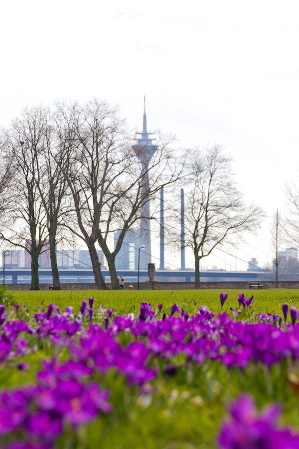 erleben sie den Escort Düsseldorf im Frühling